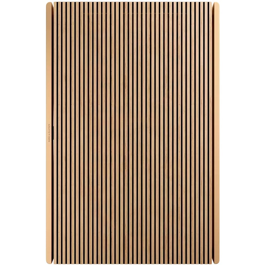 Bang & Olufsen Beosound Level