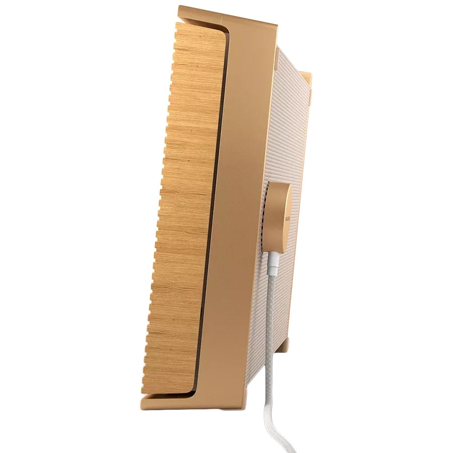 Bang & Olufsen Beosound Level