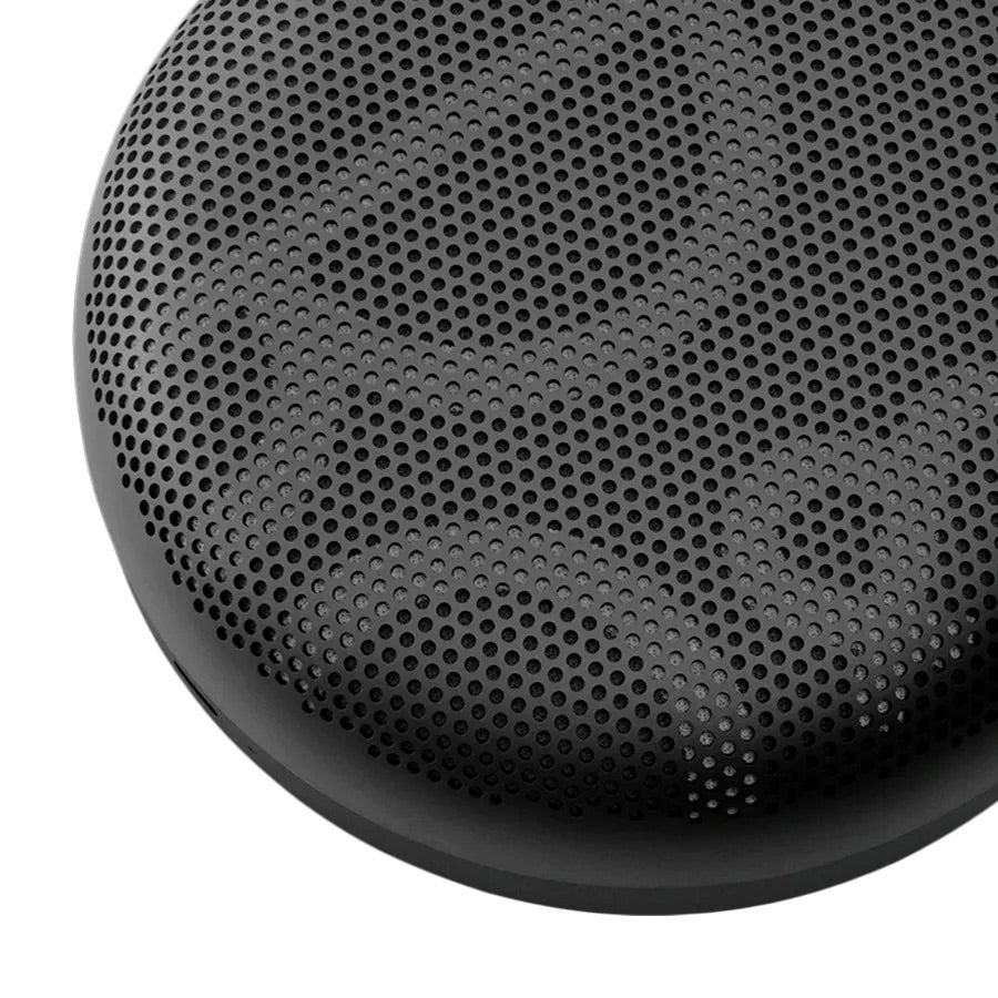 Beosound A1 Portable Speaker