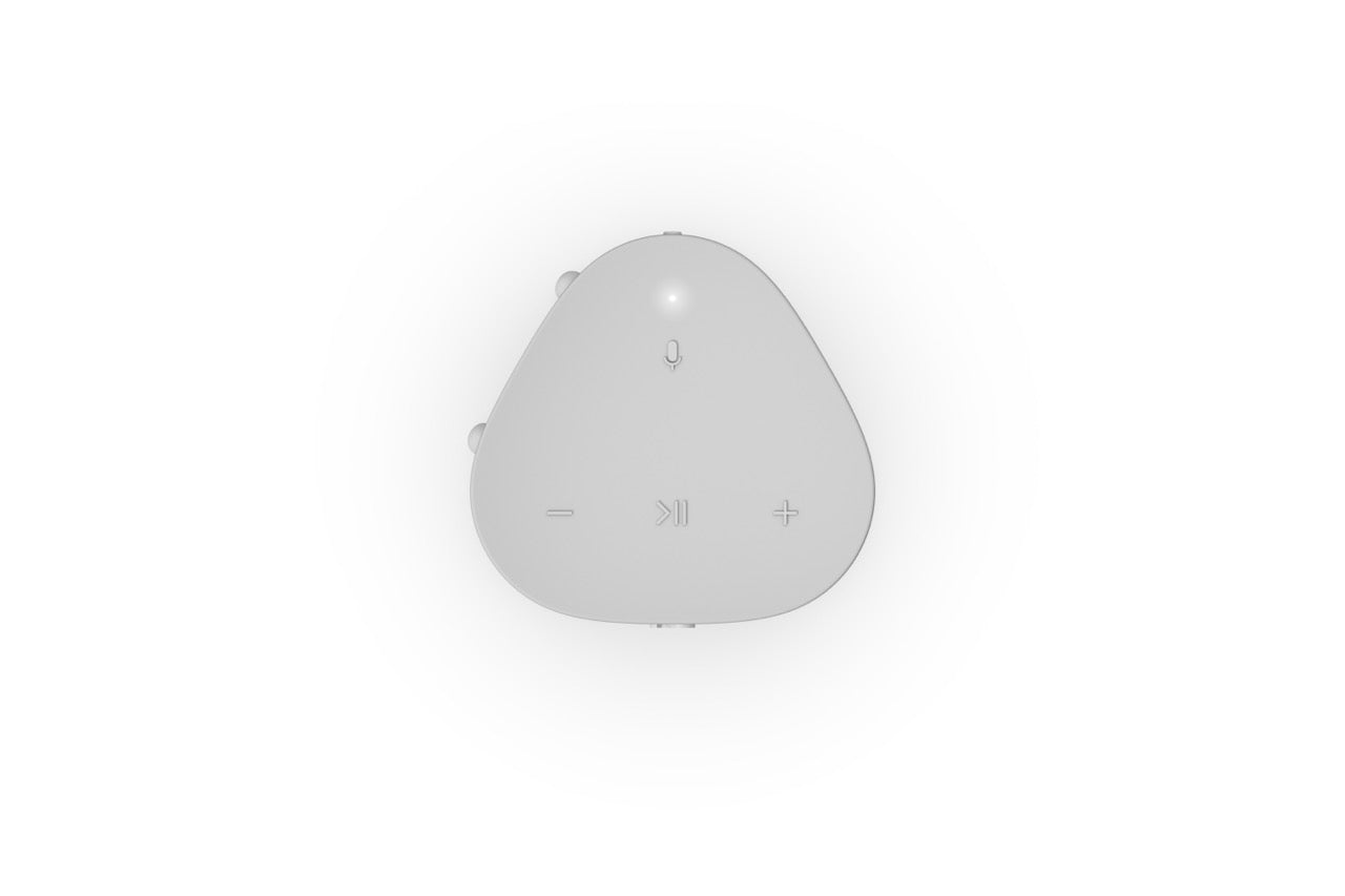 Sonos Roam
